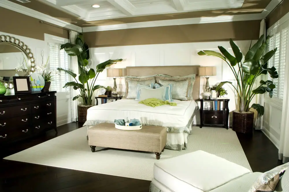 master bedroom paint ideas with dark furniture 