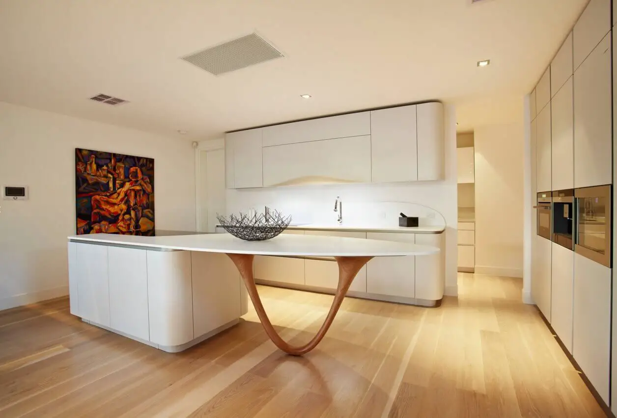 Contemporary Kitchen Designs Get the Look