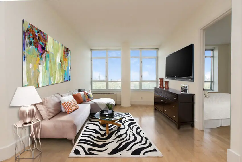 Cozy Contemporary Living Room With Zebra Area Rug