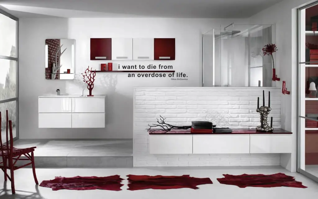 Red and white bathroom design